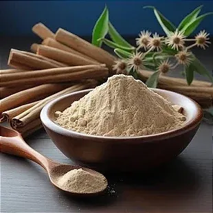 Ashwagandha root sticks with a bowl of root powder