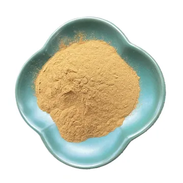 Maca extract powder in a blue dish