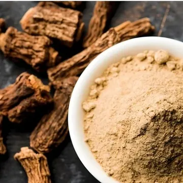 Catuaba bark pieces with a bowl of tan powder