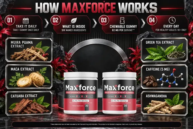 How Maxforce works brand graphic